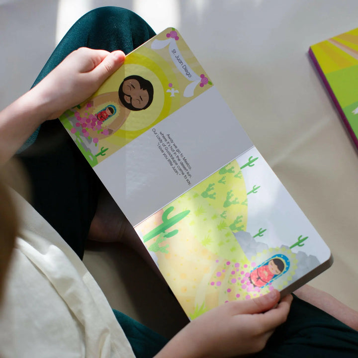 The Virgin Mary Around The World! A Pilgrimage of Faith Book  shininglightdolls